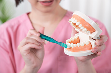 ブラッシング指導